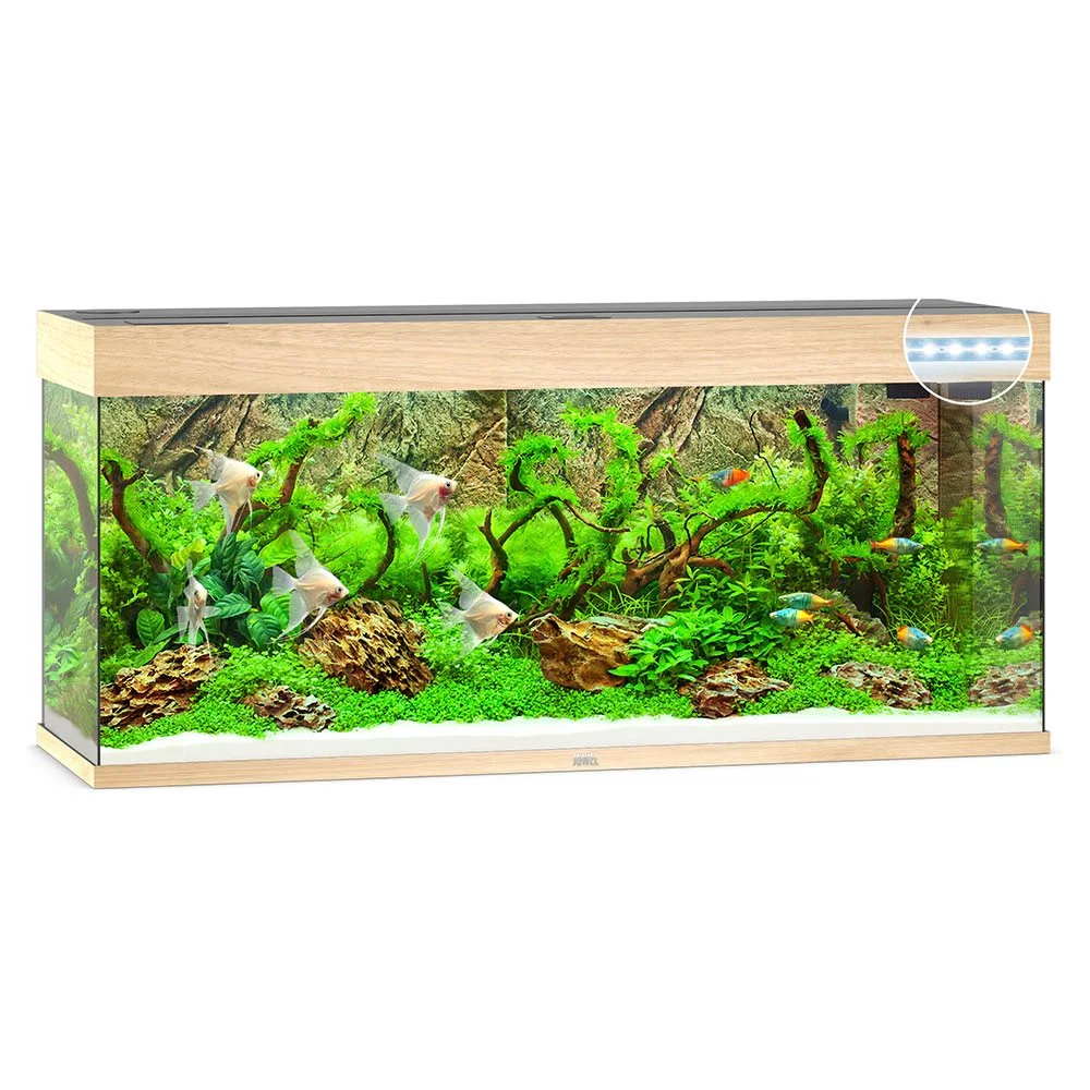Juwel Rio 240 L Eg 121x41x55 cm